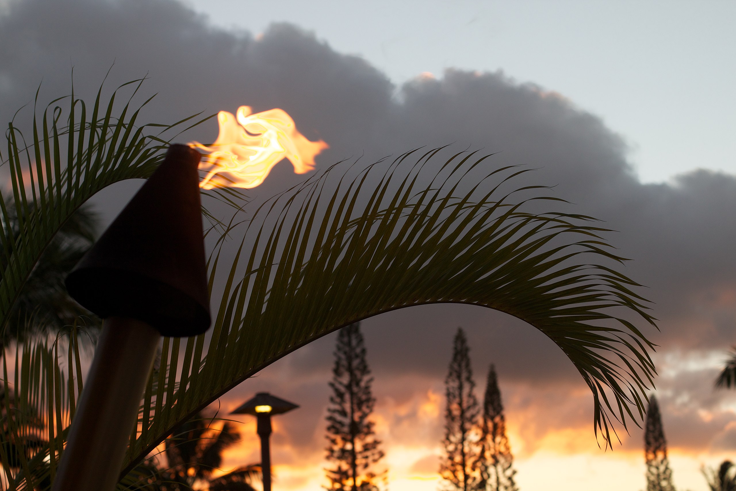 Fire1