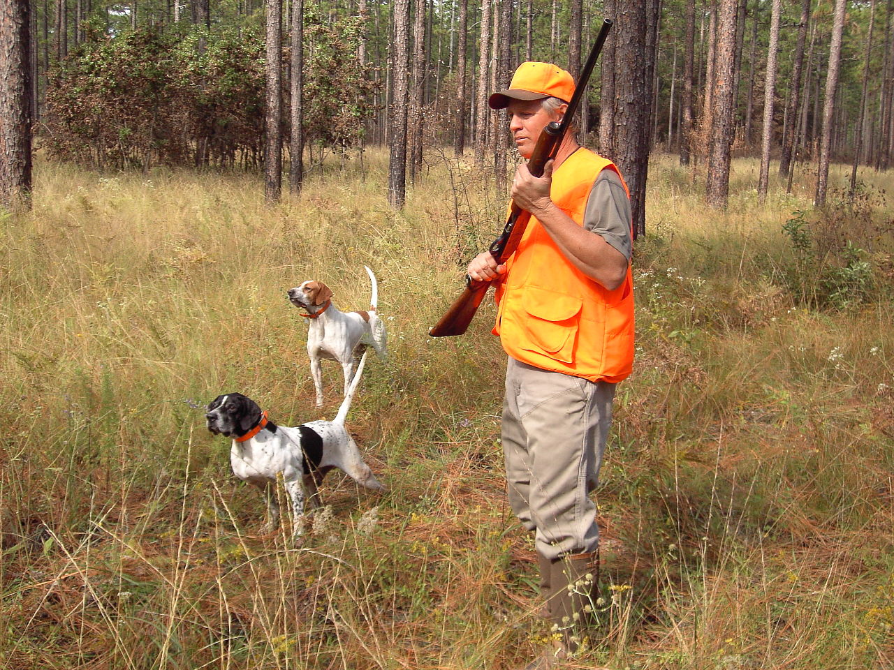 Hunting Dog1
