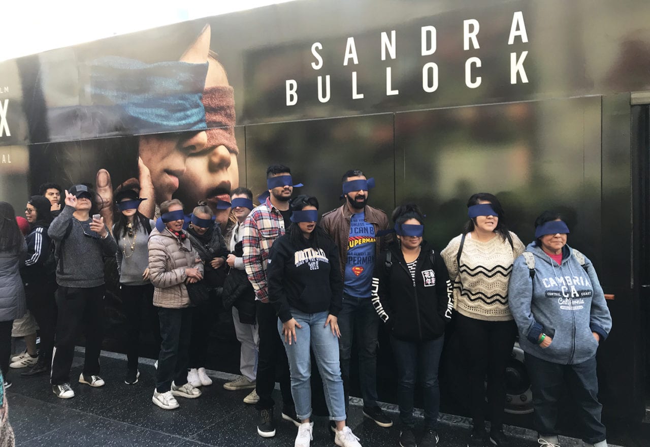 The Bird Box2