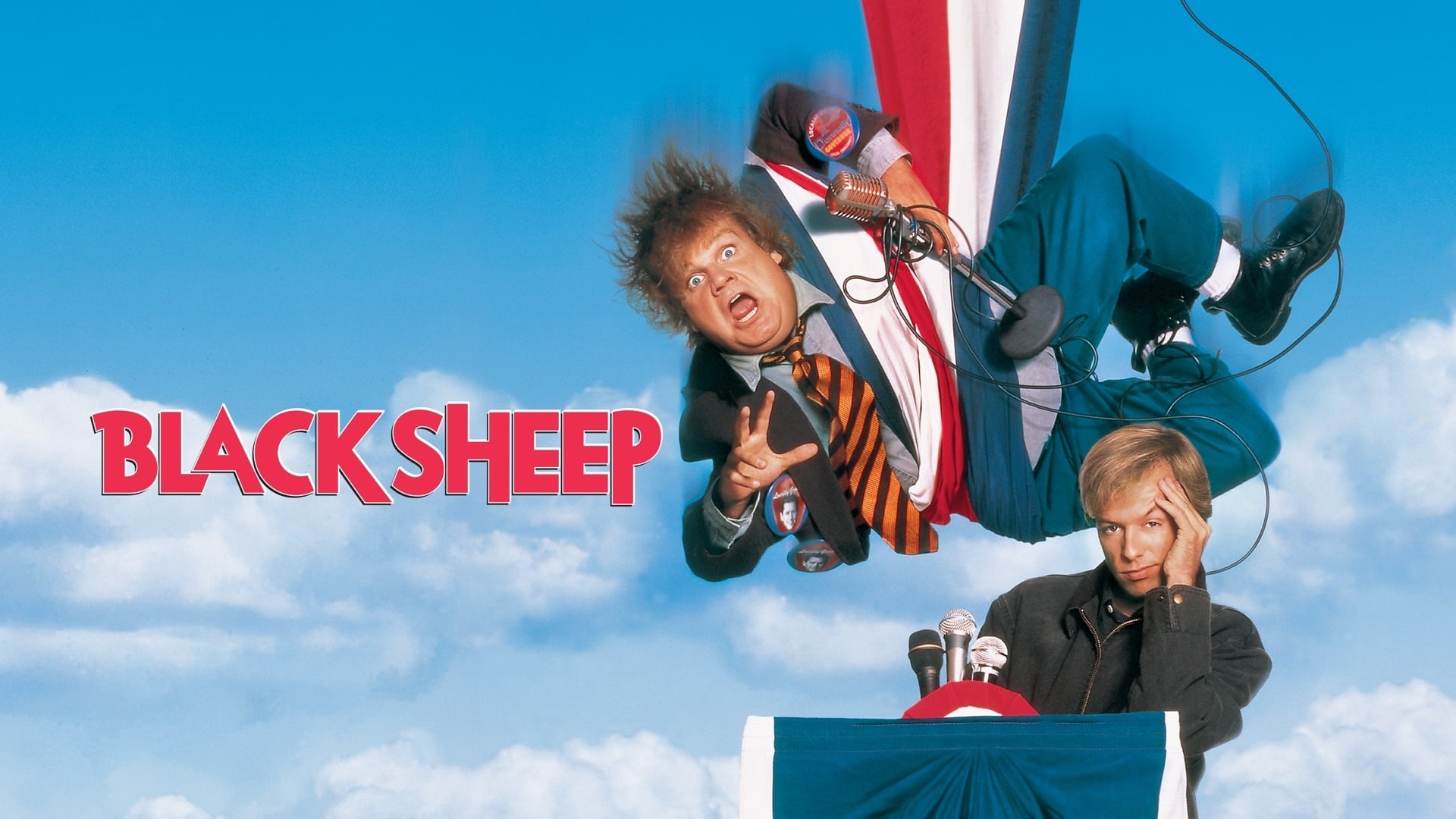 Black Sheep2