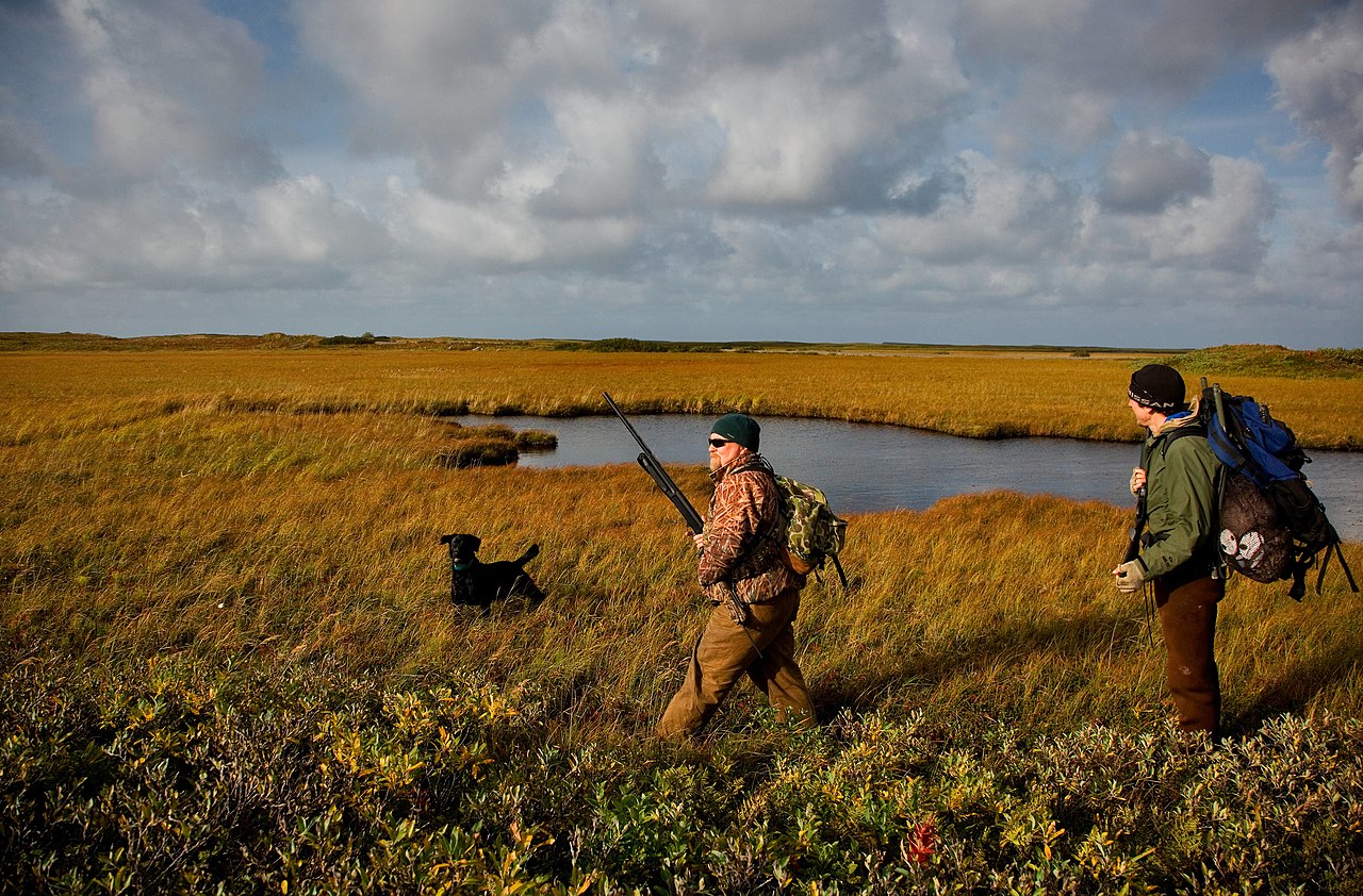 Duck Hunting1